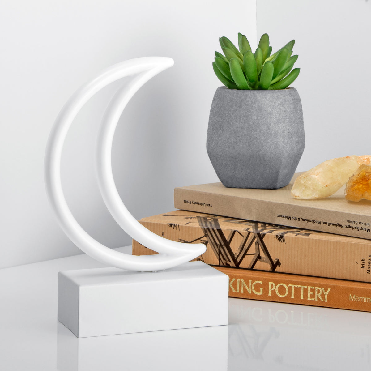 Mini Moon Neon LED Light – West & Arrow