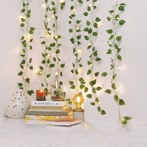 Curtain Vine Lights