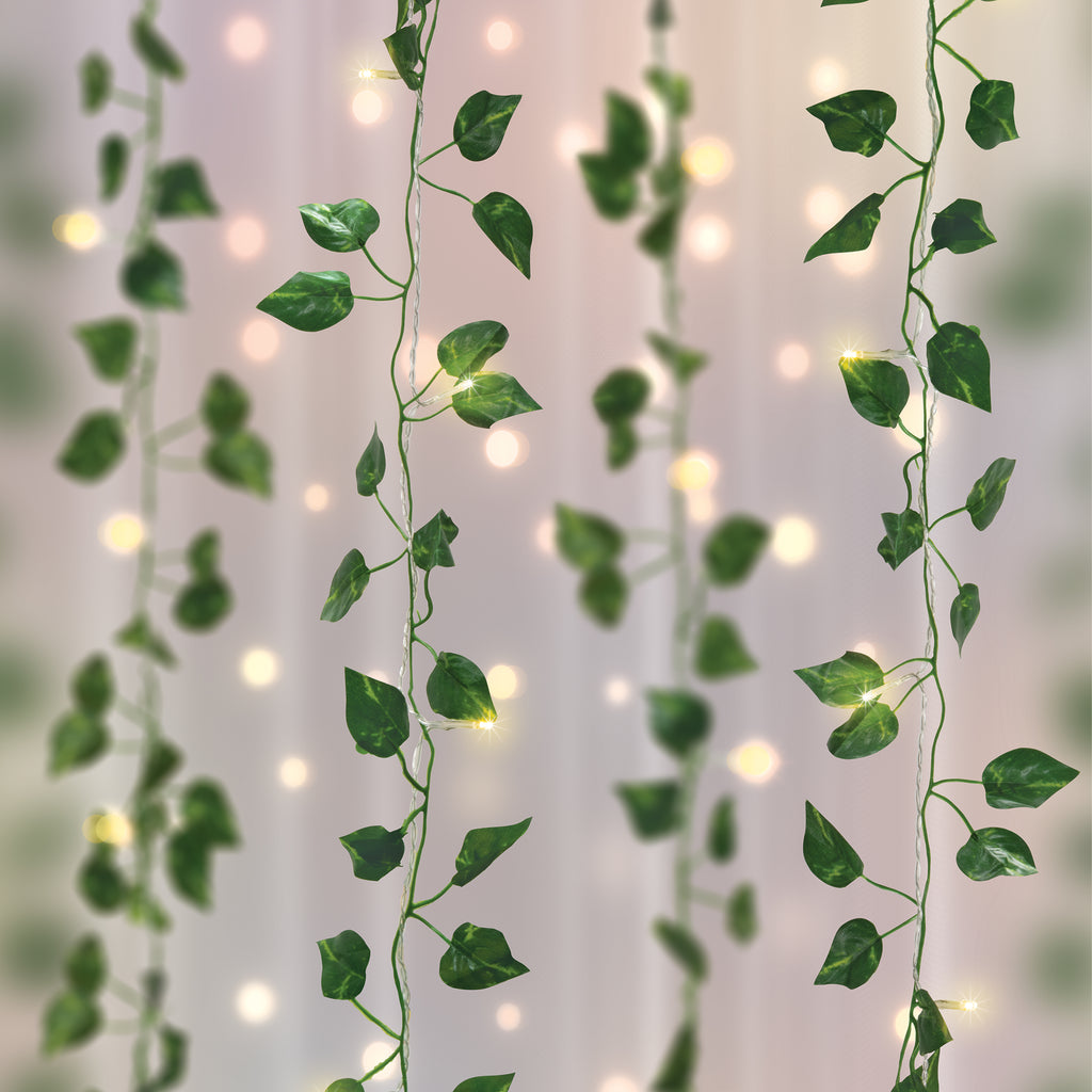 Curtain Vine Lights