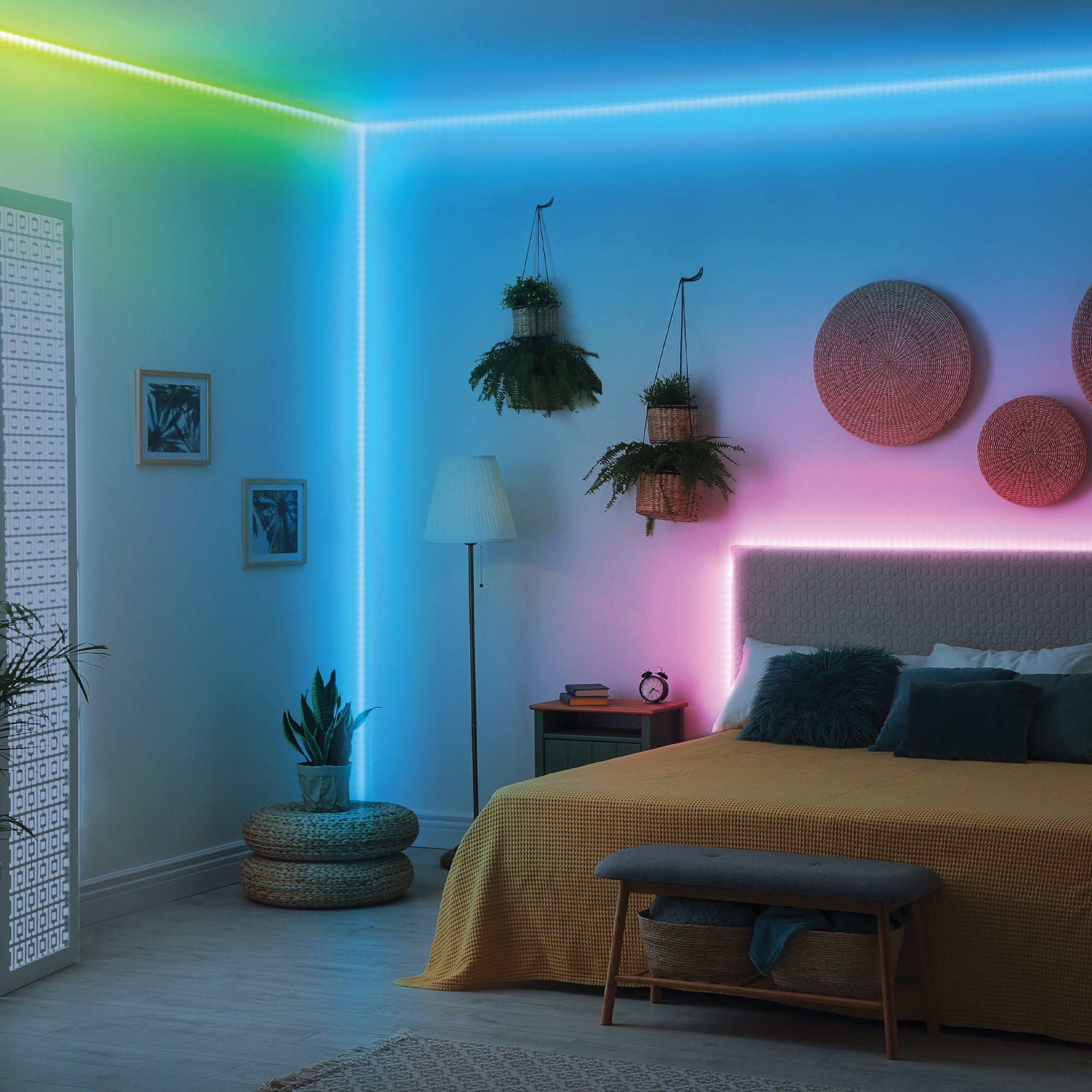 Strip Lights and Rope Lights
