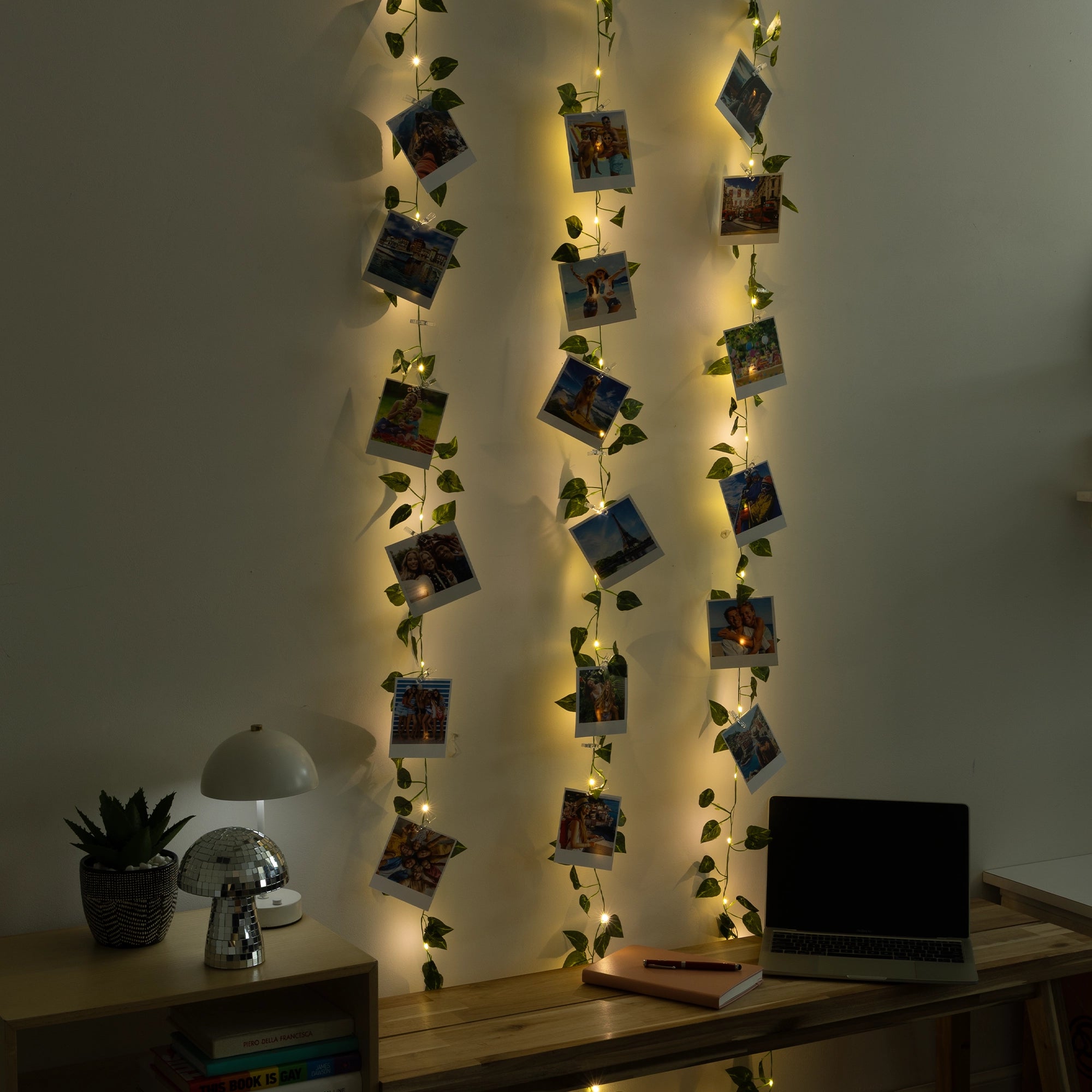 Vine Lights