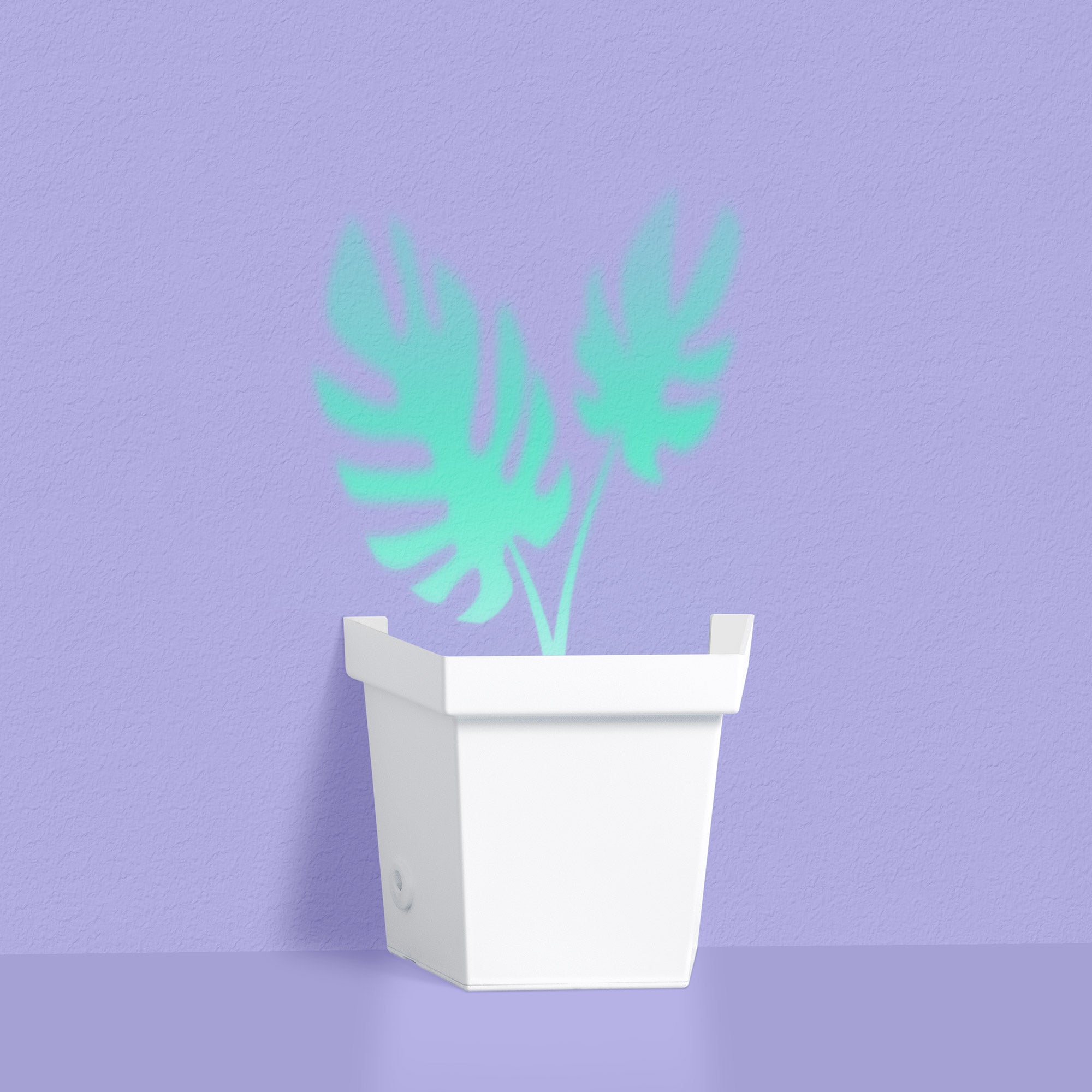 West and arrow mood light cheap