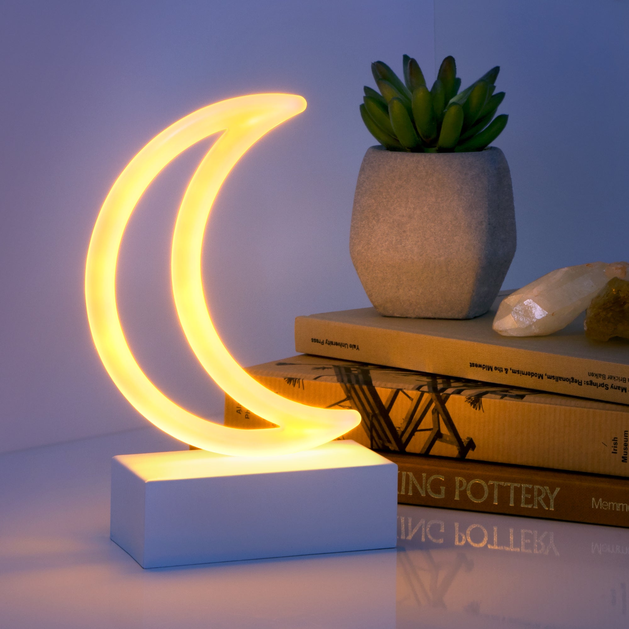 Mini Moon Neon LED Light